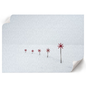 Fali poszter Zimní minimalismus