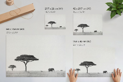 Fali poszter: Afrikai szavanna motívummal