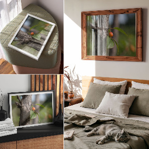 Poszter Ovoce na větvi