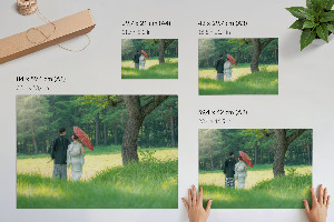 Plakát Japonský pár