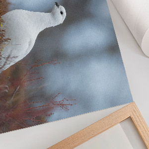 Poszter Zimní krajina