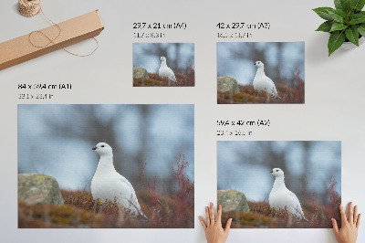 Poszter: téli tájkép