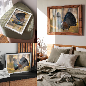 Poszter nyomtatás Hrdý pták