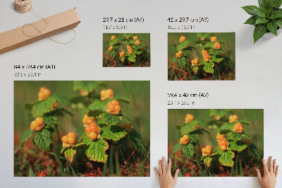 Fali poszter 'Lesní plody'