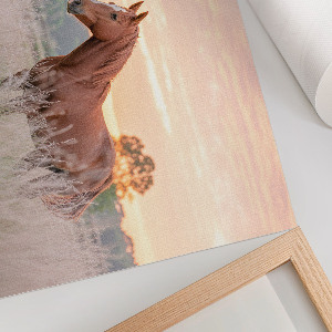 Fali poszter Ranní klid