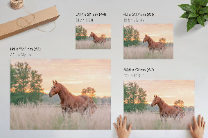 Fali poszter Ranní klid