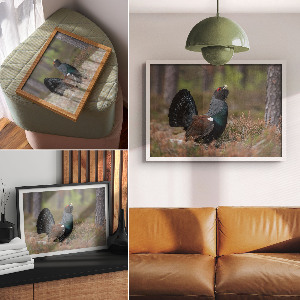 Poszter nyomtatás Pták v lese