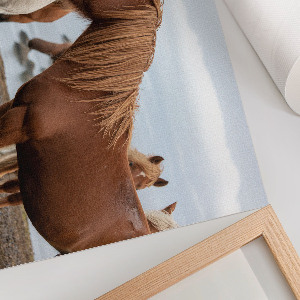 Fali poszter Koně v krajině