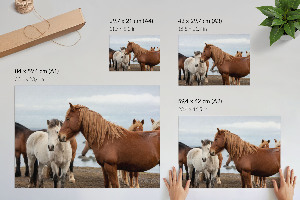 Fali poszter Koně v krajině