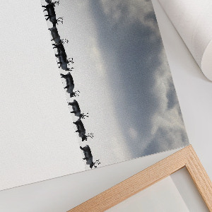 Poszter Arktická cesta