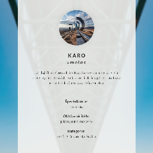 Fali poszter Noční most