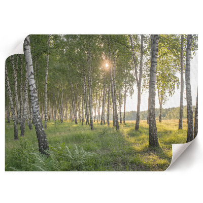 Fali poszter Lesní klid