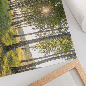 Fali poszter Lesní klid