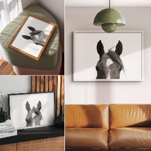 Fali poszter Koňské uši