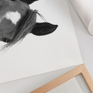 Fali poszter Koňské uši