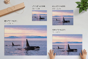 Plakát Přímořská krajina