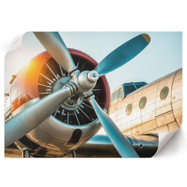 Fali poszter Detail letadla
