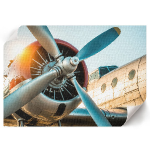 Fali poszter Detail letadla