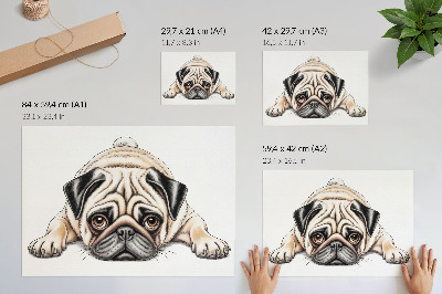 Poszter nyomtatás: mopszos illusztráció