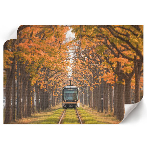 Poszternyomtatás „Podzimní tramvaj”