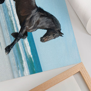 Plakát Cválající kůň