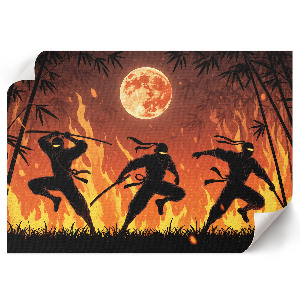 Poszter nyomtatás Noční ninjové