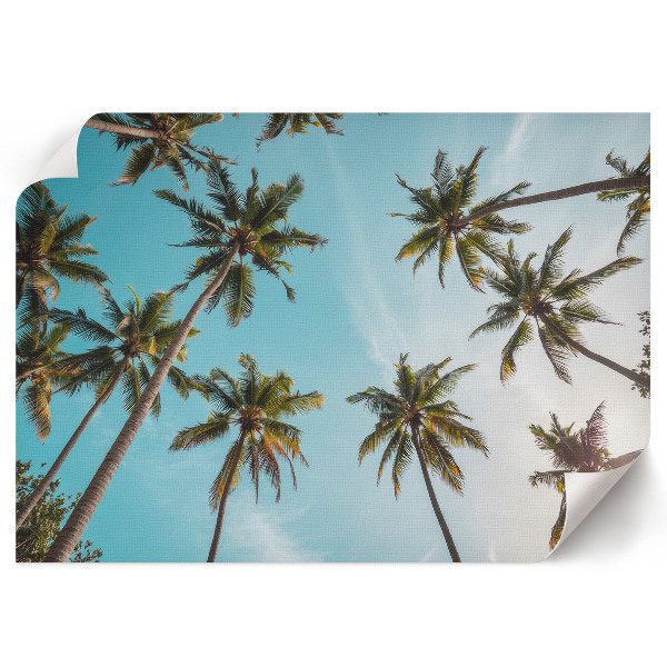 Poszter Exotická nálada