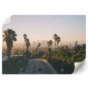 Fali poszter Městská oáza