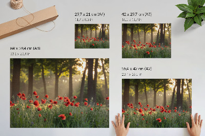 Plakát „Vlčí máky a les”