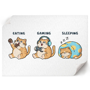 Poszter nyomtatás Kočičí život