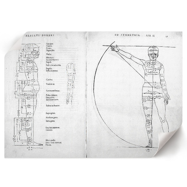 Fali poszter Kresba člověka