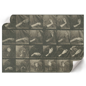 Poszter Pohyb zvířat