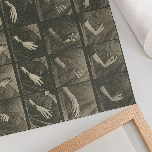 Poszter Pohyb zvířat