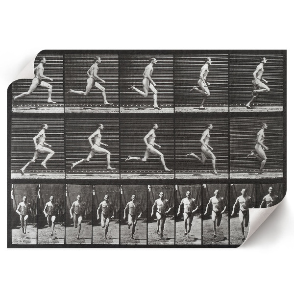 Poszter nyomtatás Pohyb zvířat