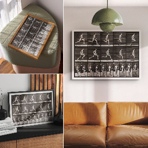 Poszter nyomtatás Pohyb zvířat