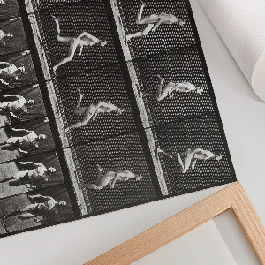 Poszter nyomtatás Pohyb zvířat