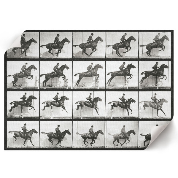 Fali poszter Jízda na koni