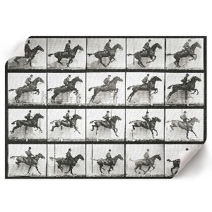 Fali poszter Jízda na koni