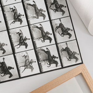 Fali poszter Jízda na koni