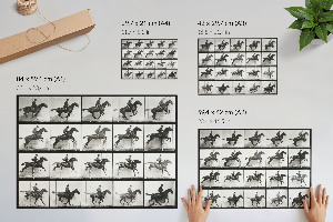 Fali poszter Jízda na koni