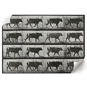 Plakát Býk na pochodu