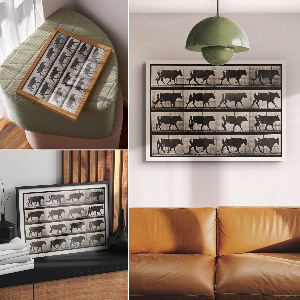 Plakát Býk na pochodu