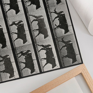 Plakát Býk na pochodu