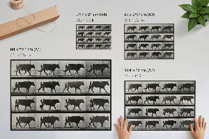 Plakát Býk na pochodu