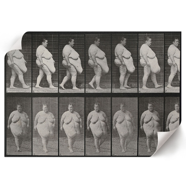 Fali poszter Obézní žena