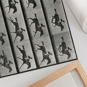 Poszter Cválající kůň