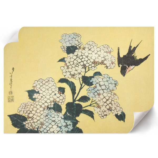 Poszter nyomtatás Hortenzie a vlaštovka