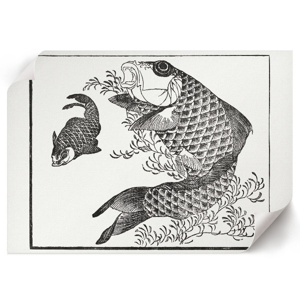 Poszter nyomtatás Kapr