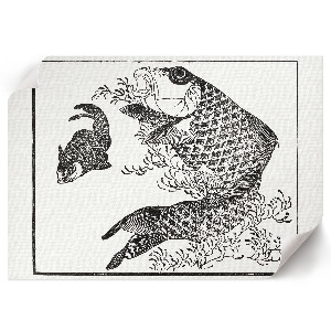 Poszter nyomtatás Kapr