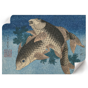 Fali poszter Kapr v mořských řasách